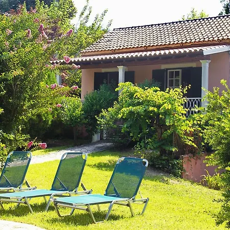 Leda カロウセイズ