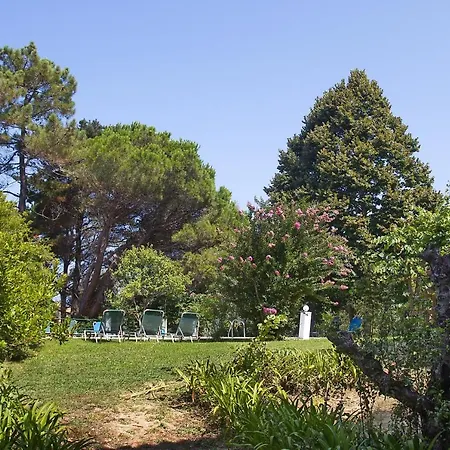 Leda カロウセイズ