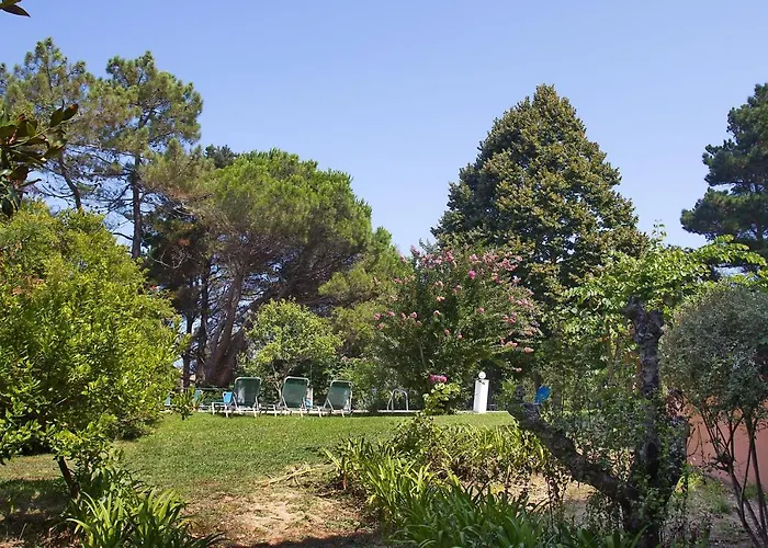 Leda Καρουσάδες